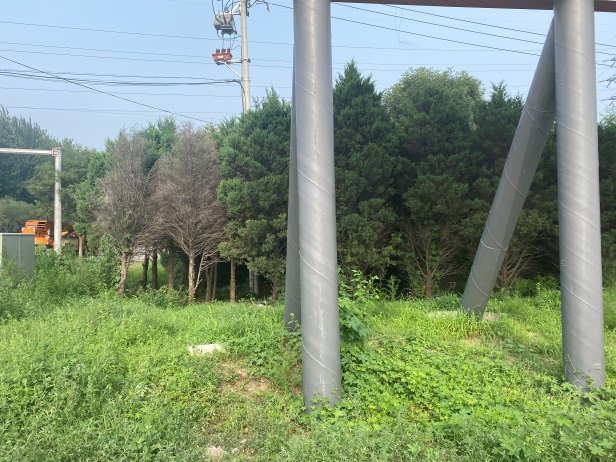 拆除后.jpg